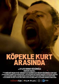 YILDIZLI PEKİYİ